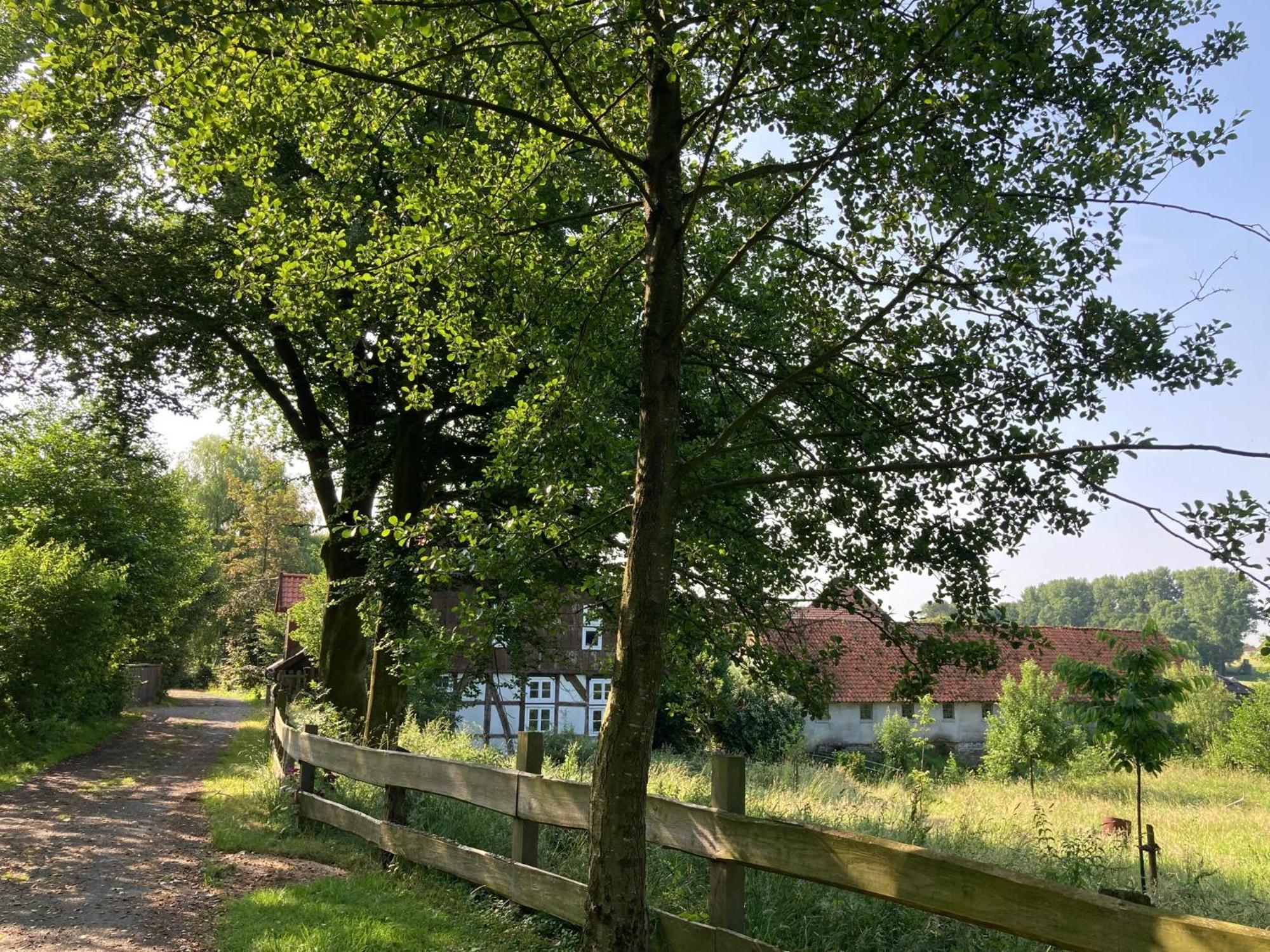 In Der Wassermuehle Melle Luaran gambar